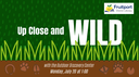 7 20 Up Close and Wild.png